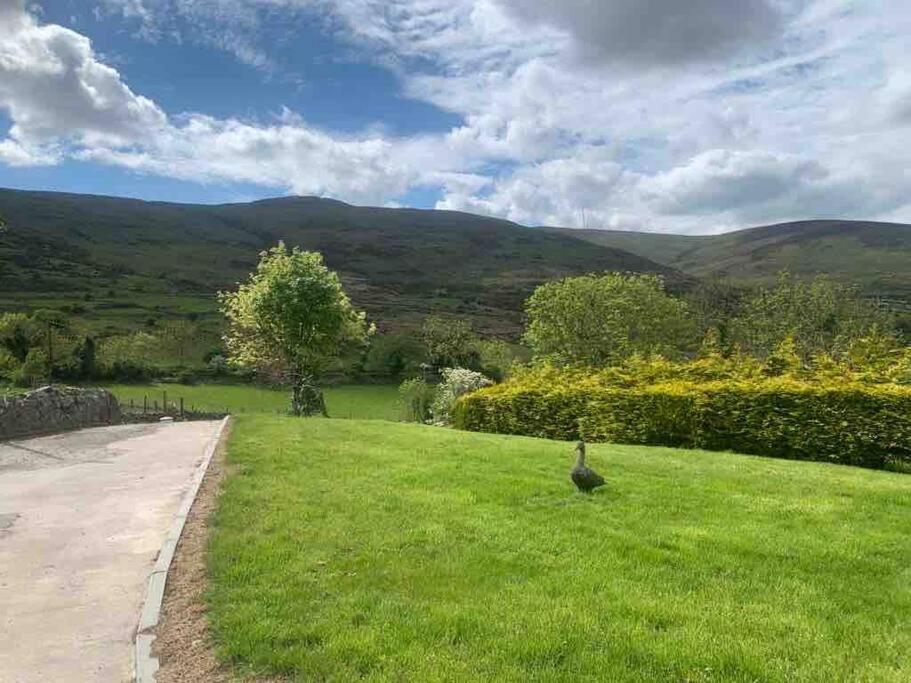 Mountain House Omeath Near Carlingford Villa O Meith Dış mekan fotoğraf