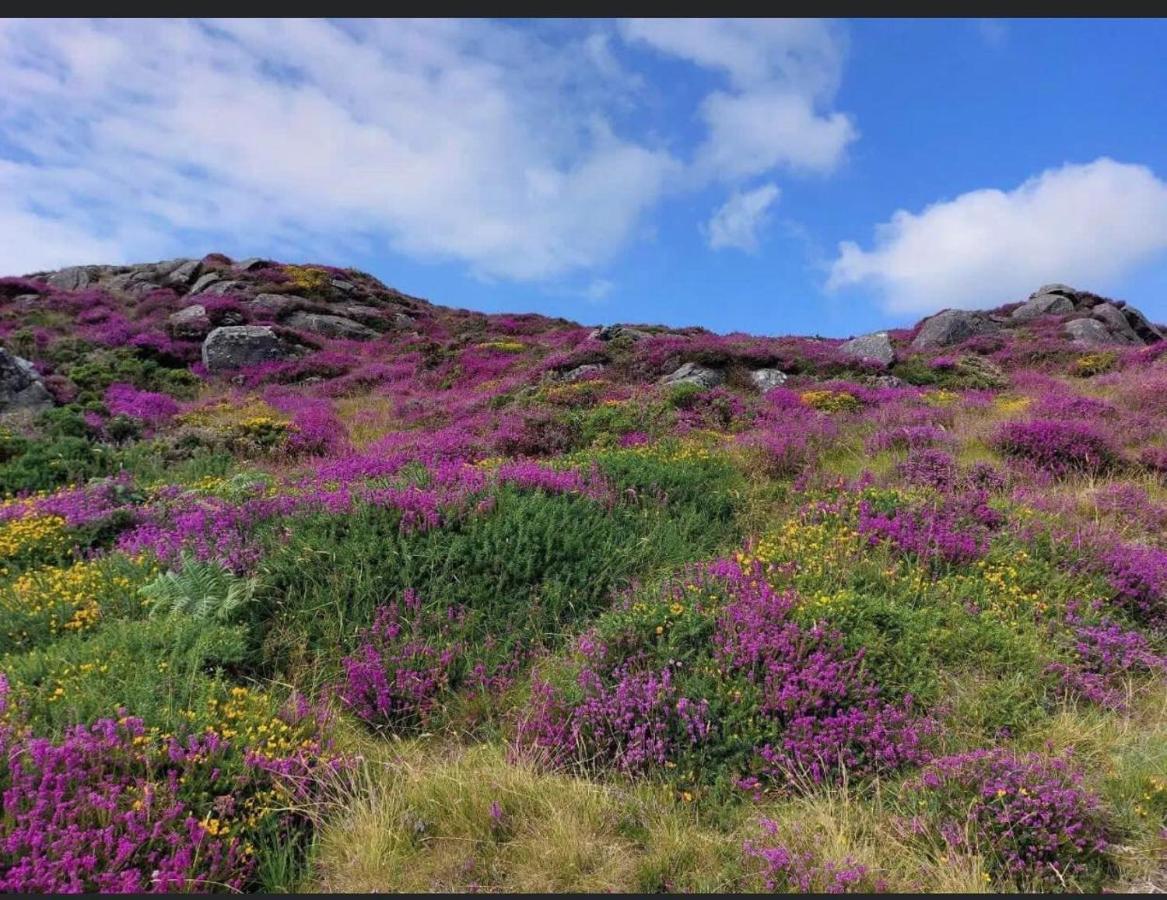 Mountain House Omeath Near Carlingford Villa O Meith Dış mekan fotoğraf